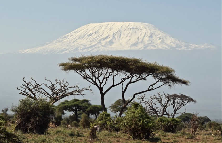 Kilimanjaro View from Amboseli