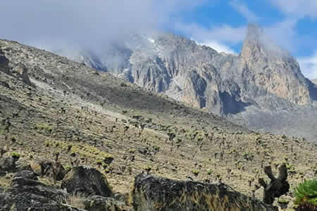 Climb Mt. Kenya