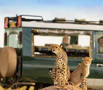 14 Days, 13 Nights Amboseli, Aberdare, Olpejeta, Samburu, Lake Nakuru, Naivasha and Masai Mara Safari