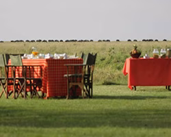 3 Days 2 Nights Masai Mara Safari